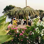 Dammusi Sciuvechi בית כפרי Scauri (Sicily)