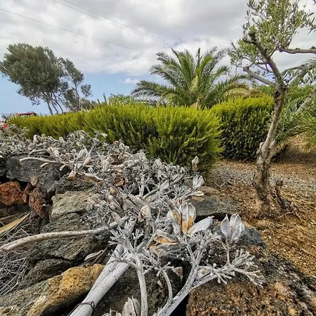 Dammusi Sciuvechi Landsted *