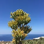 Dammusi Sciuvechi Scauri (Sicily)